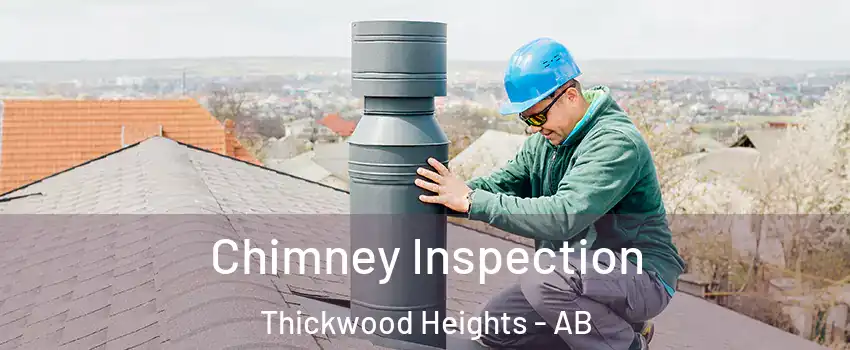  Chimney Inspection Thickwood Heights - AB