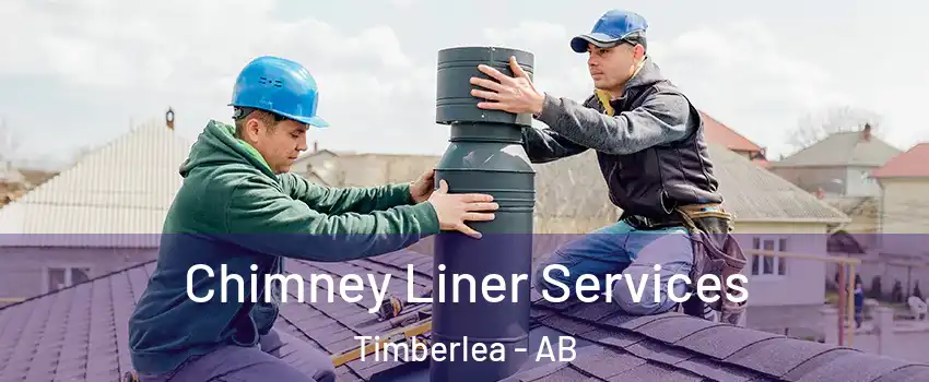  Chimney Liner Services Timberlea - AB