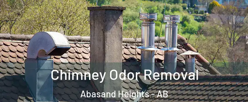  Chimney Odor Removal Abasand Heights - AB