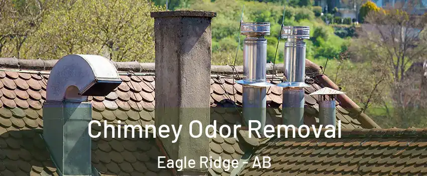  Chimney Odor Removal Eagle Ridge - AB