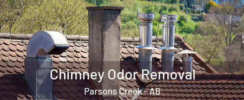  Chimney Odor Removal Parsons Creek - AB