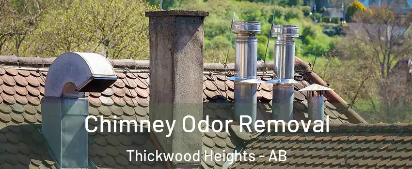  Chimney Odor Removal Thickwood Heights - AB