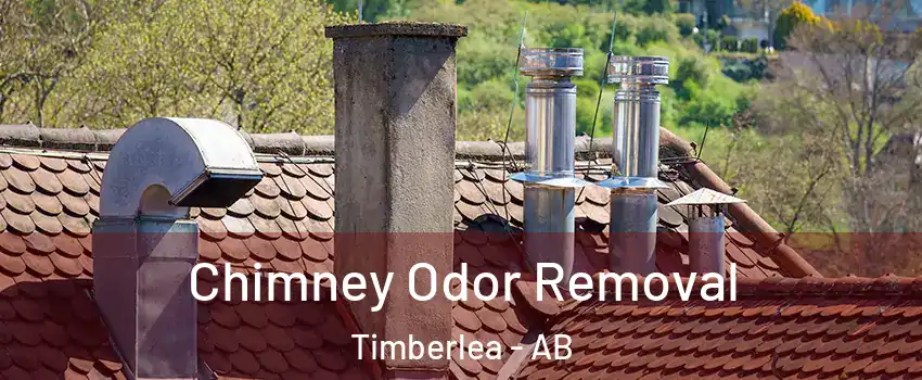  Chimney Odor Removal Timberlea - AB