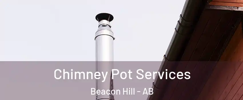  Chimney Pot Services Beacon Hill - AB