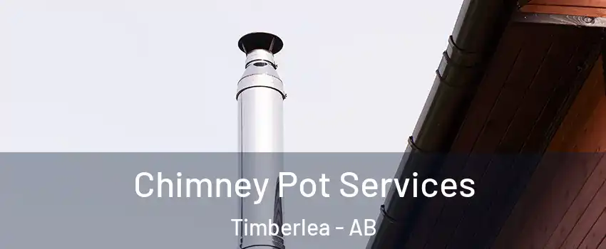  Chimney Pot Services Timberlea - AB