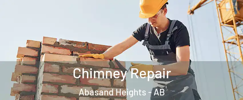  Chimney Repair Abasand Heights - AB