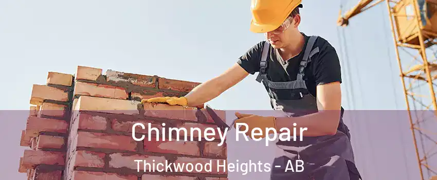  Chimney Repair Thickwood Heights - AB