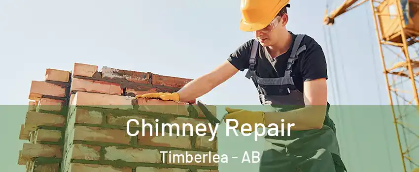  Chimney Repair Timberlea - AB