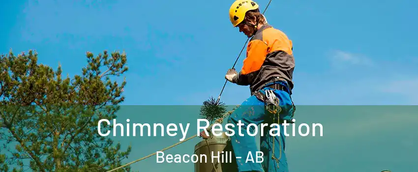  Chimney Restoration Beacon Hill - AB