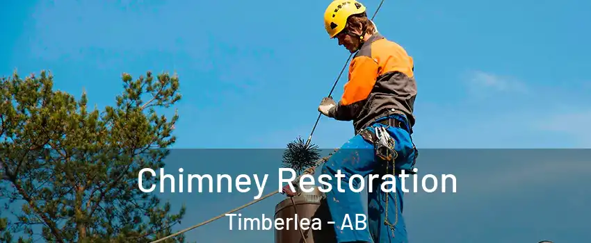  Chimney Restoration Timberlea - AB
