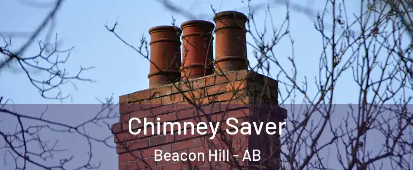  Chimney Saver Beacon Hill - AB