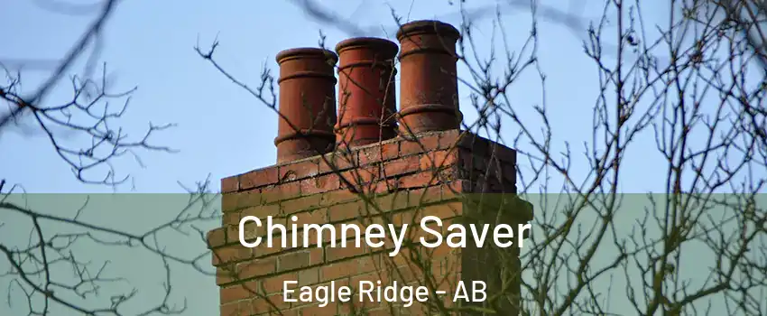  Chimney Saver Eagle Ridge - AB