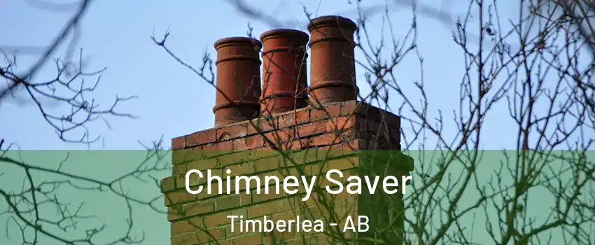  Chimney Saver Timberlea - AB