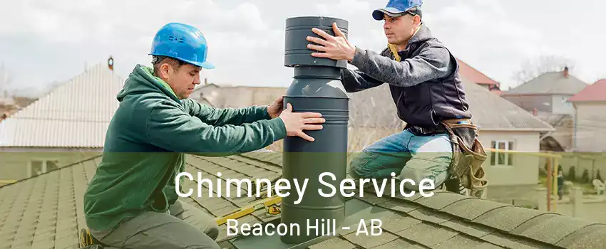  Chimney Service Beacon Hill - AB