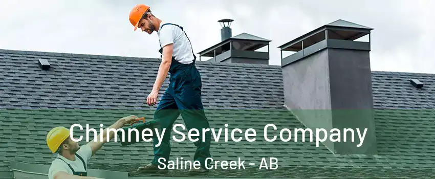 Chimney Service Company Saline Creek - AB