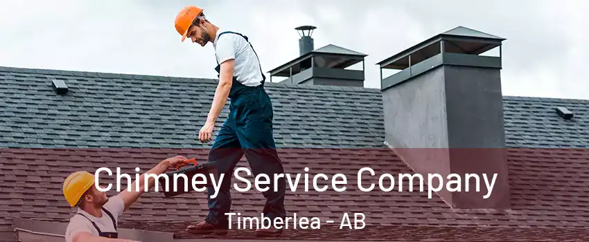 Chimney Service Company Timberlea - AB