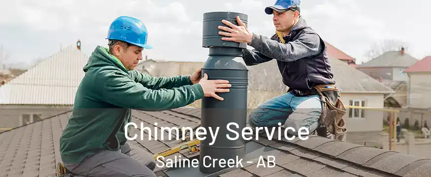  Chimney Service Saline Creek - AB