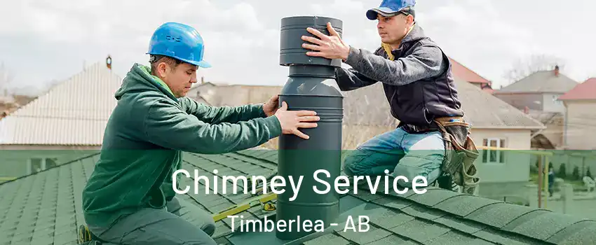  Chimney Service Timberlea - AB