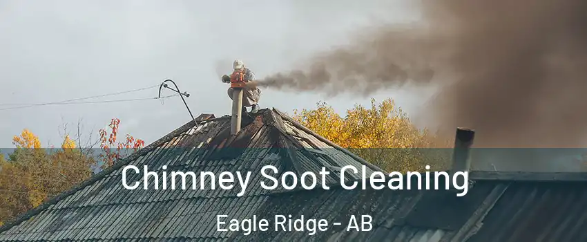  Chimney Soot Cleaning Eagle Ridge - AB