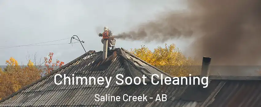  Chimney Soot Cleaning Saline Creek - AB