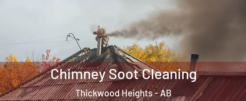  Chimney Soot Cleaning Thickwood Heights - AB