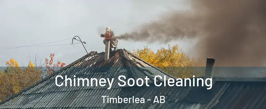  Chimney Soot Cleaning Timberlea - AB