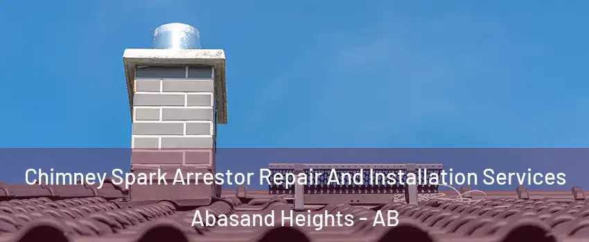  Chimney Spark Arrestor Repair And Installation Services Abasand Heights - AB