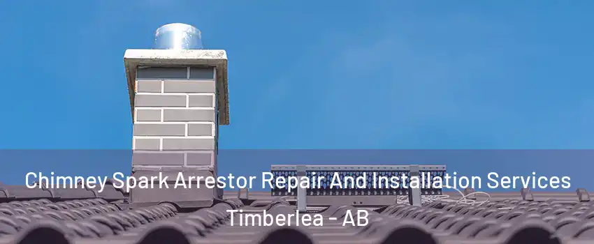  Chimney Spark Arrestor Repair And Installation Services Timberlea - AB