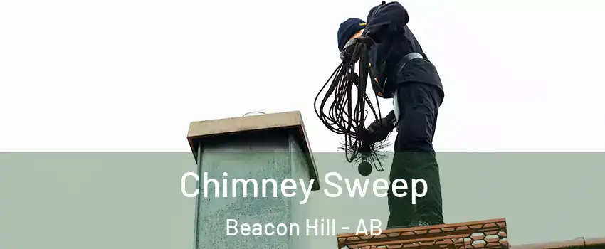  Chimney Sweep Beacon Hill - AB