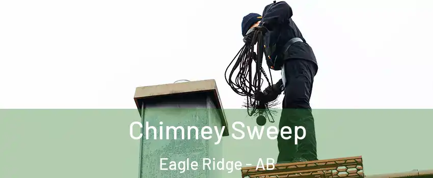  Chimney Sweep Eagle Ridge - AB