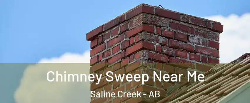 Chimney Sweep Near Me Saline Creek - AB
