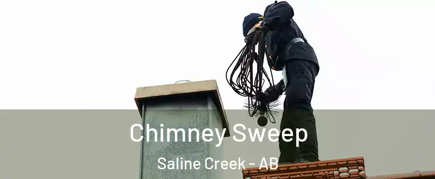  Chimney Sweep Saline Creek - AB