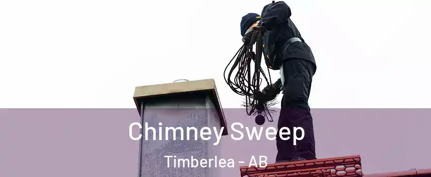  Chimney Sweep Timberlea - AB