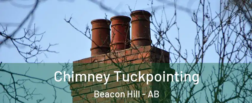  Chimney Tuckpointing Beacon Hill - AB