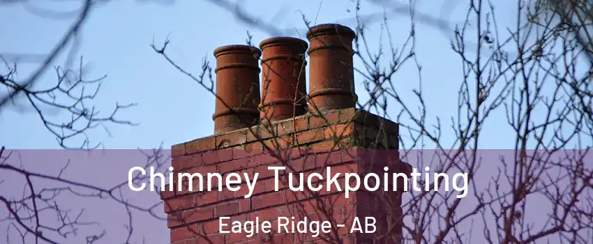  Chimney Tuckpointing Eagle Ridge - AB