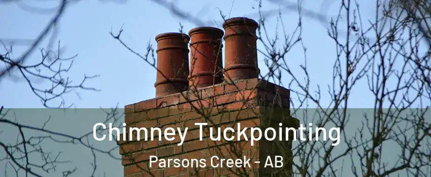  Chimney Tuckpointing Parsons Creek - AB
