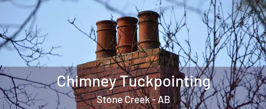 Chimney Tuckpointing Stone Creek - AB