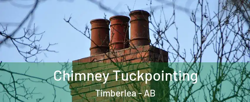  Chimney Tuckpointing Timberlea - AB