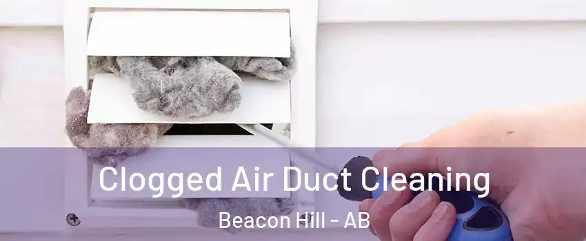  Clogged Air Duct Cleaning Beacon Hill - AB