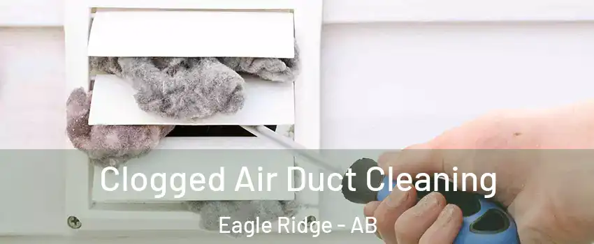  Clogged Air Duct Cleaning Eagle Ridge - AB