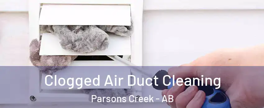  Clogged Air Duct Cleaning Parsons Creek - AB