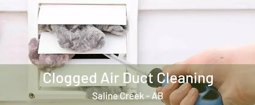 Clogged Air Duct Cleaning Saline Creek - AB