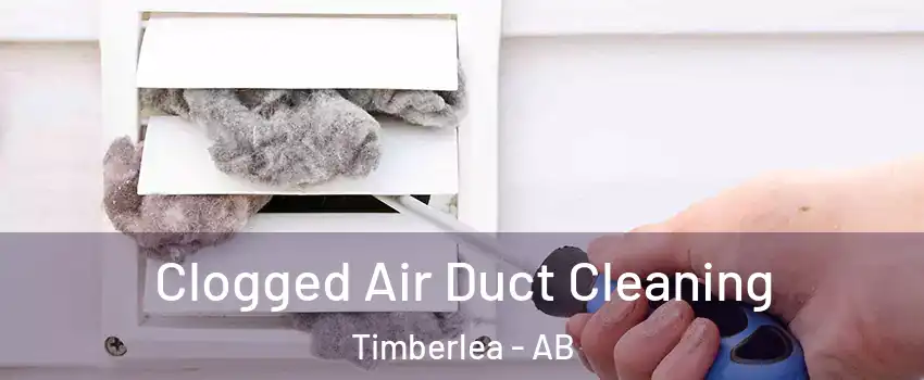  Clogged Air Duct Cleaning Timberlea - AB