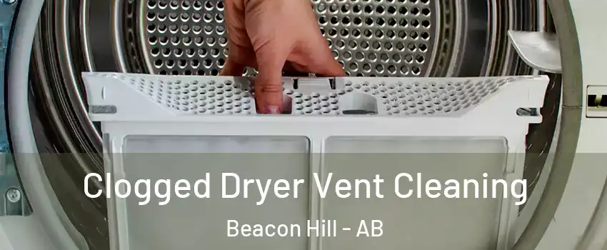  Clogged Dryer Vent Cleaning Beacon Hill - AB