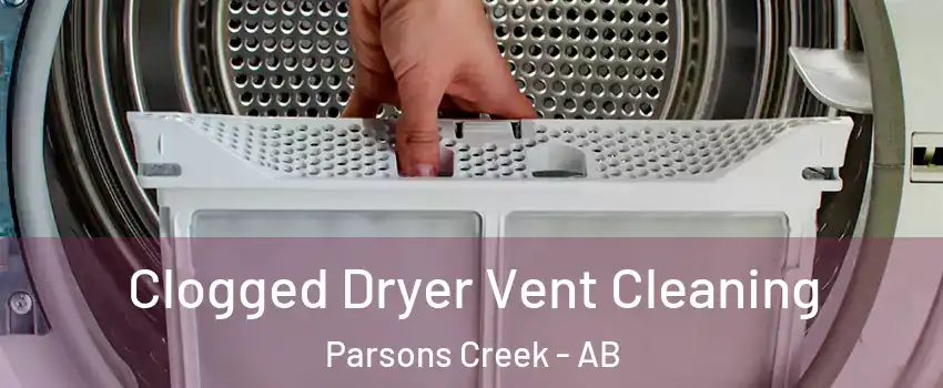  Clogged Dryer Vent Cleaning Parsons Creek - AB