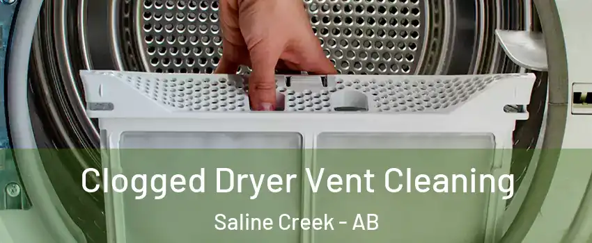  Clogged Dryer Vent Cleaning Saline Creek - AB