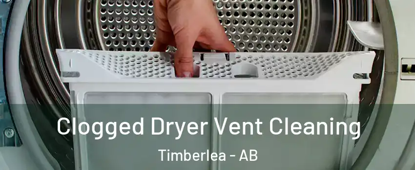  Clogged Dryer Vent Cleaning Timberlea - AB