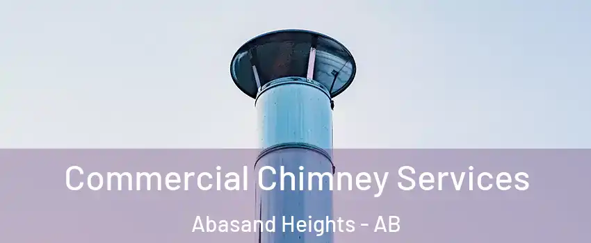  Commercial Chimney Services Abasand Heights - AB