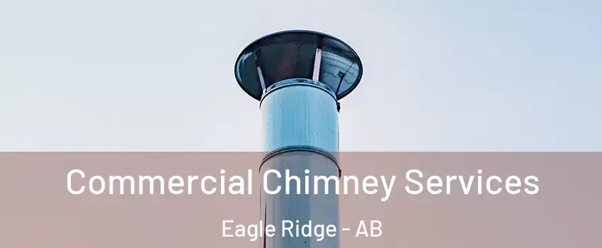  Commercial Chimney Services Eagle Ridge - AB