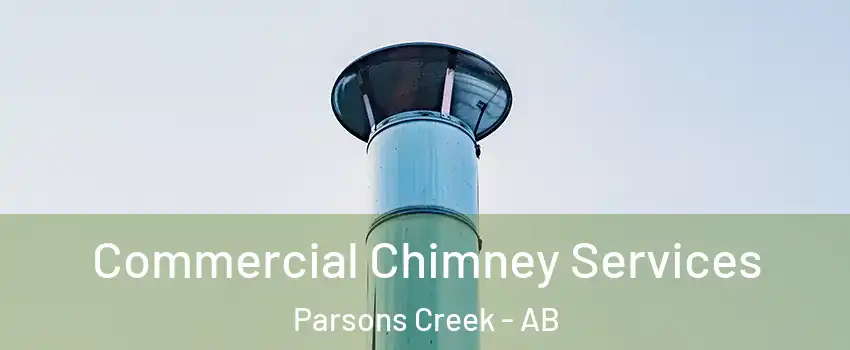  Commercial Chimney Services Parsons Creek - AB